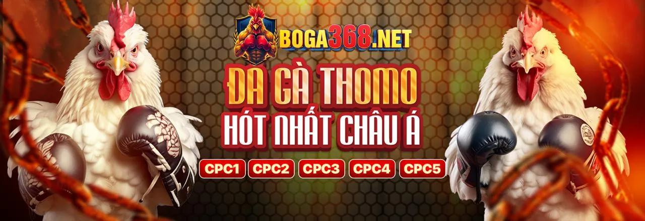 Sân vận động với trận đấu bóng đá đang diễn ra, biểu tượng cho cá cược thể thao tại vn582 trang chủ chính thức