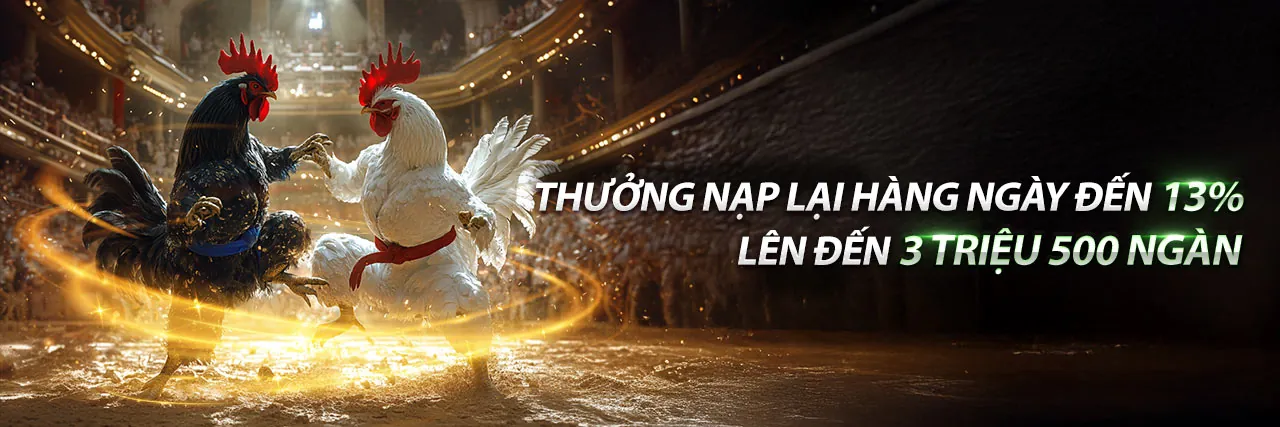 Tải ứng dụng vn582 chính thức