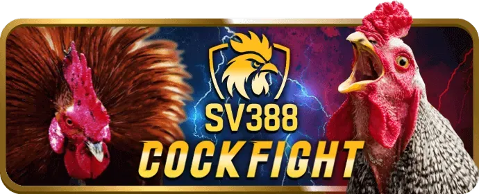 Cam kết của vn582 về cờ bạc có trách nhiệm